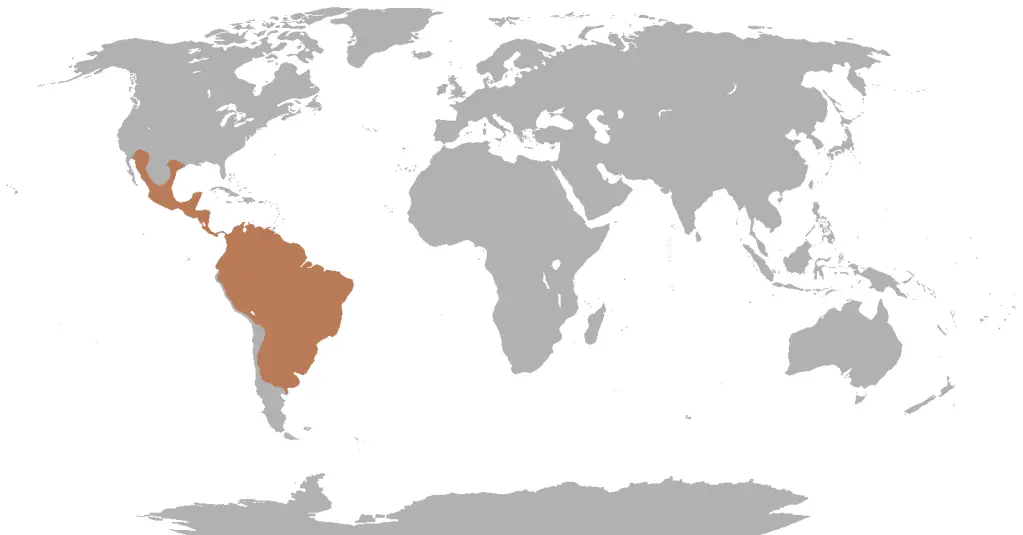 A map showing where in the world Javelina's are located