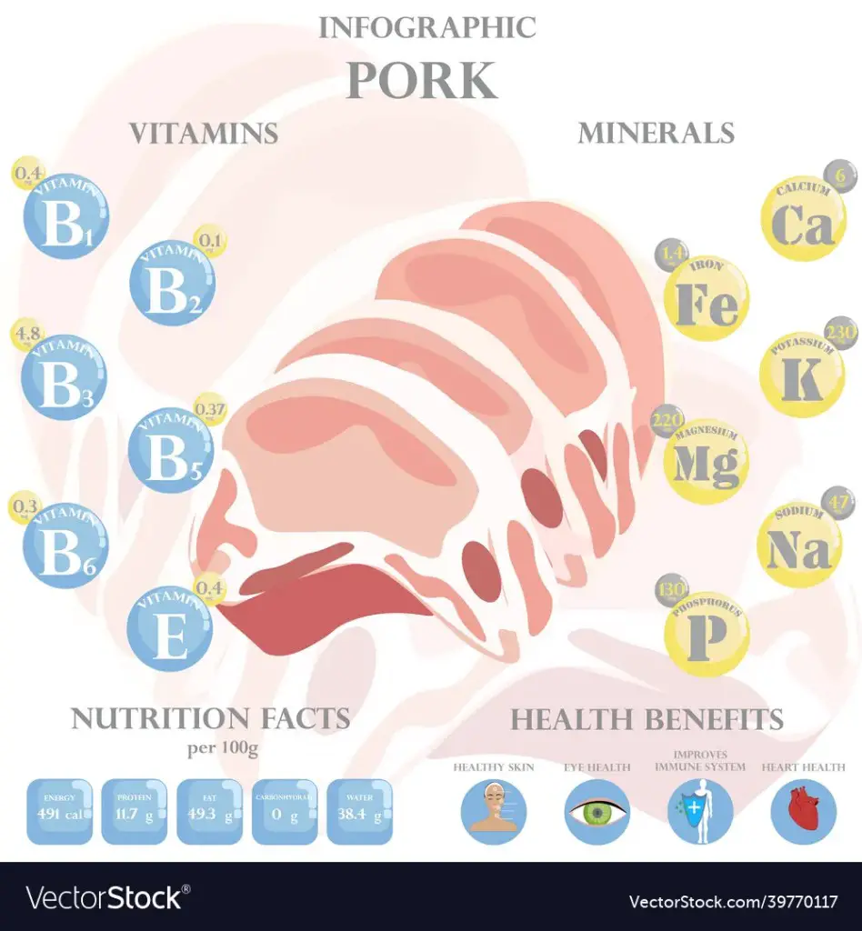 An infographic listing the different vitamins and minerals that pork provides in diet and nutrition